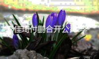李佳琦付鹏合开公司 李佳琦持股比例约38%