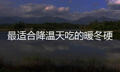 菇鸡最适硬菜油香温天暖冬合降蚝吃的翅