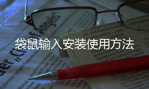 安装输入使用袋鼠方法